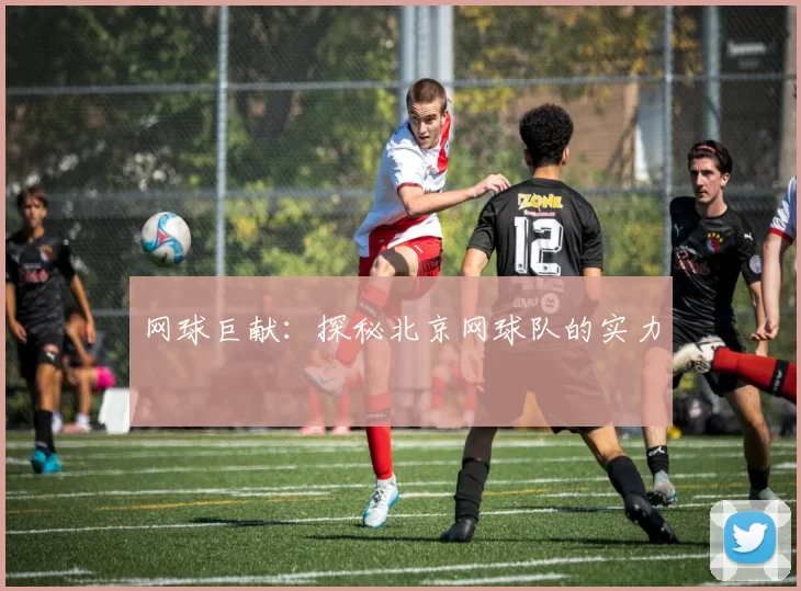 网球巨献：探秘北京网球队的实力
