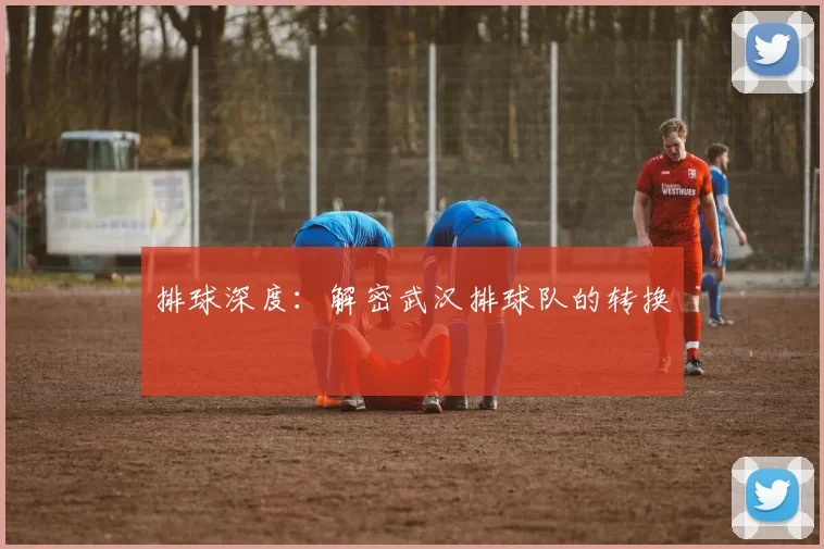 排球深度：解密武汉排球队的转换