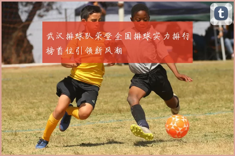 武汉排球队荣登全国排球实力排行榜首位引领新风潮
